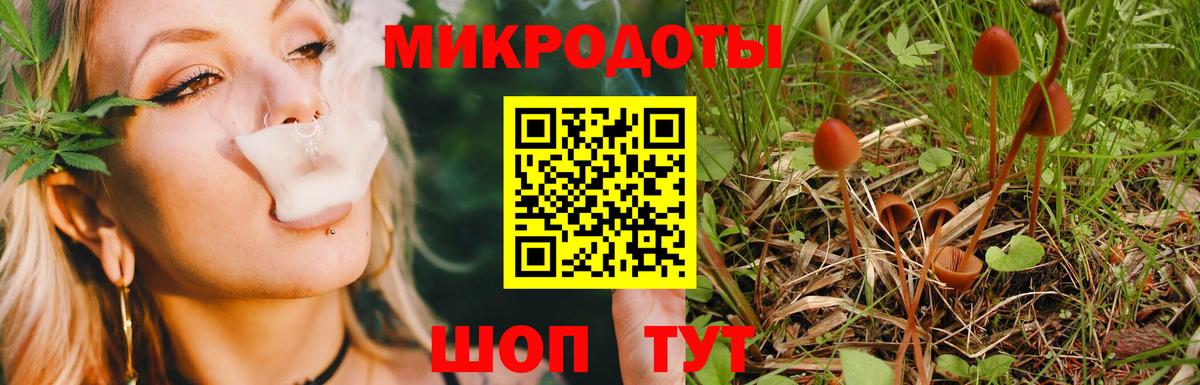 Заринск  Псилоцибиновые грибы Magic Shrooms  Вход с VPN 